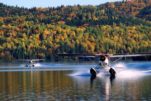 avion-lac-foret