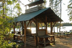 cabane-foret